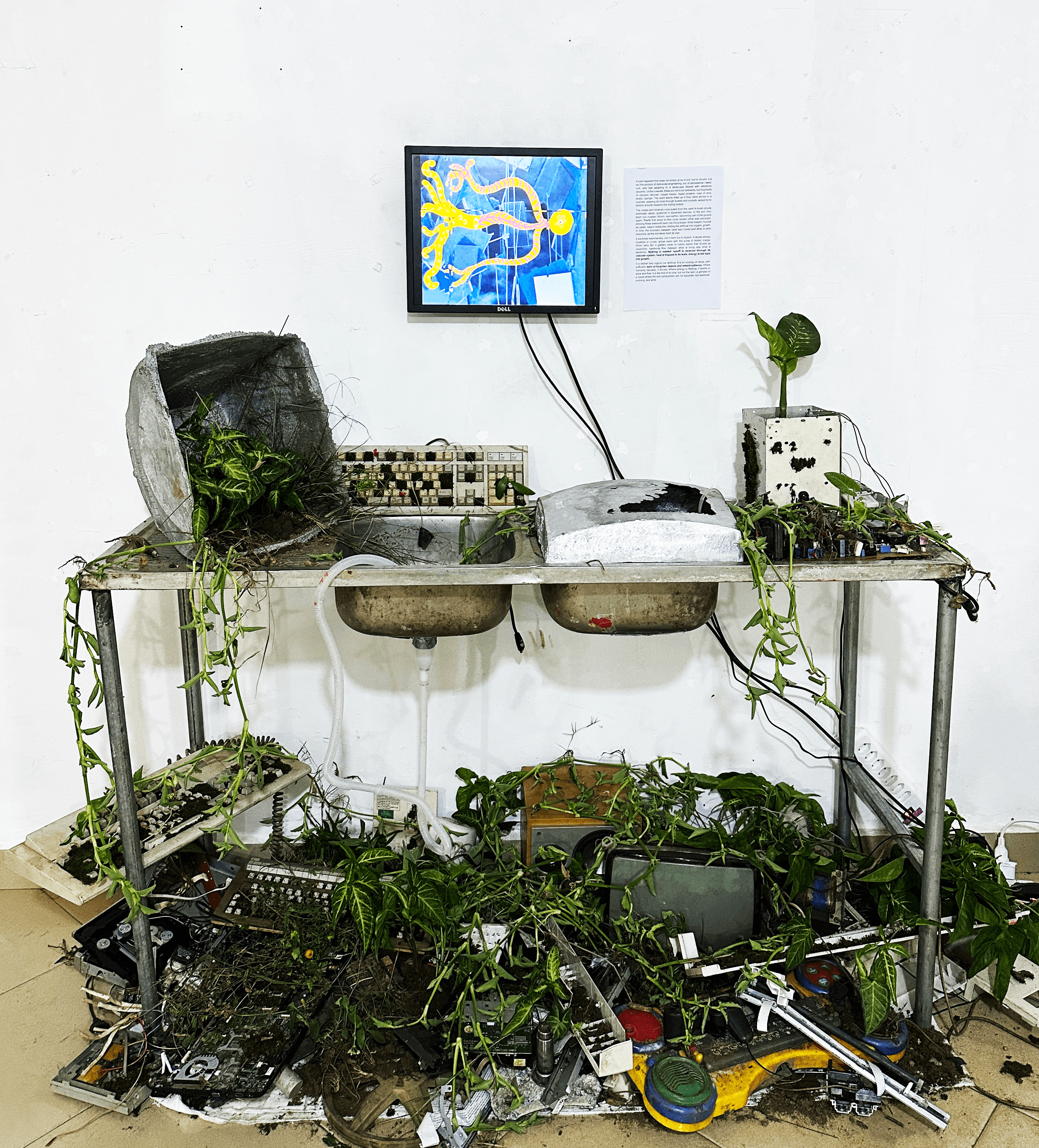 Seasonal Currents — 3