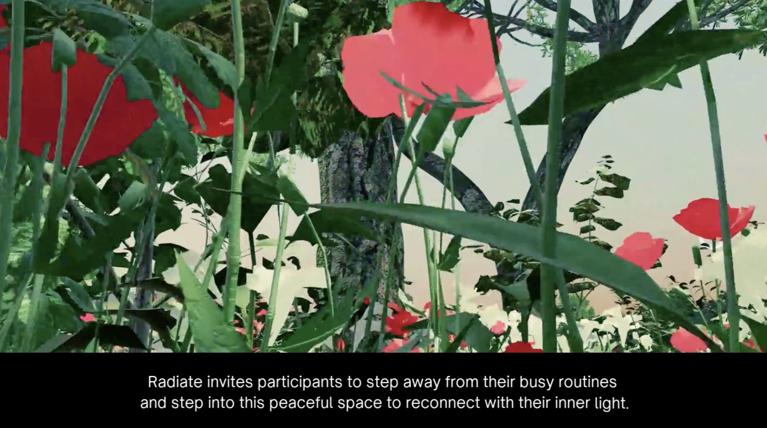 Radiate — documentation image 3
