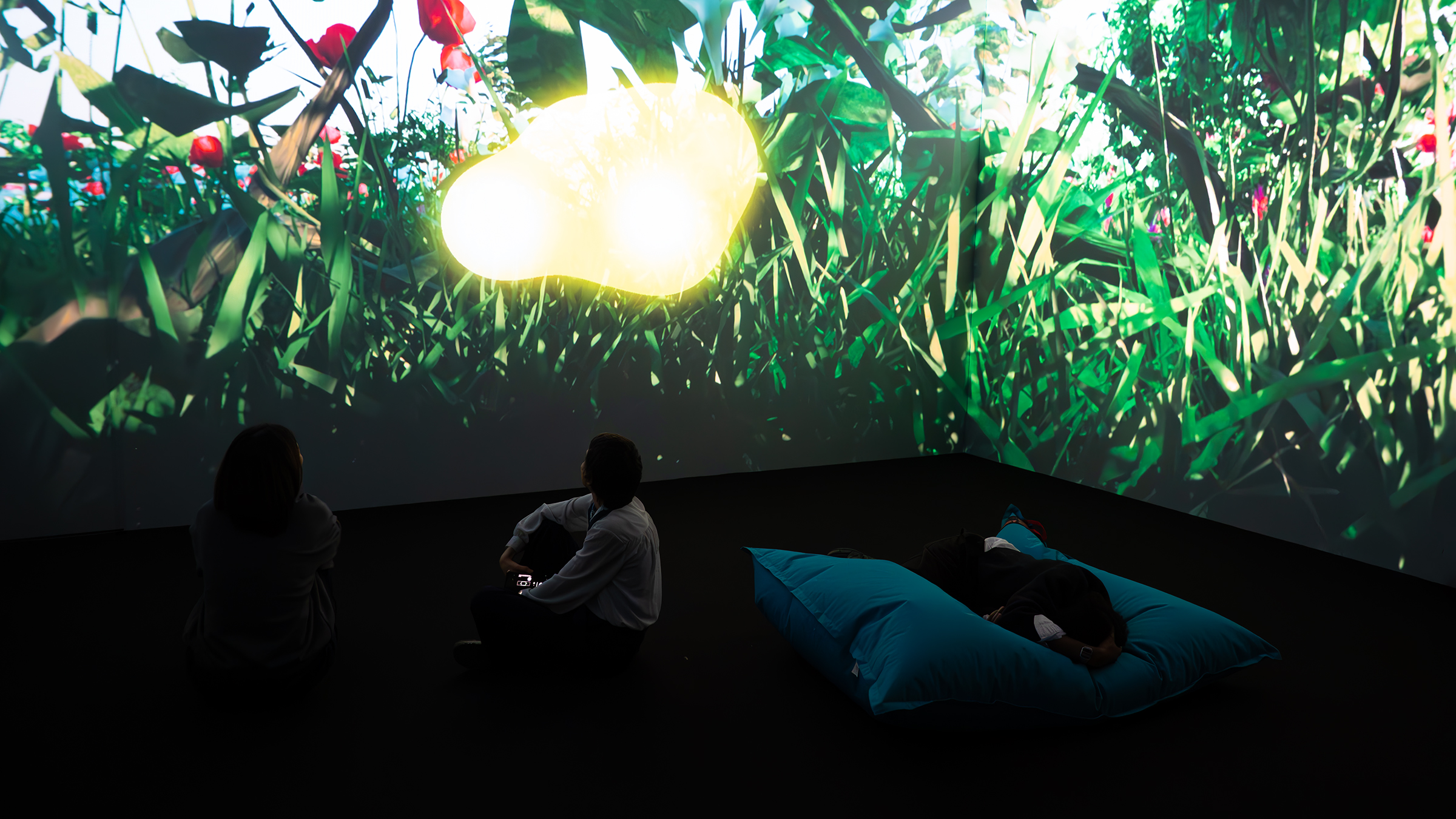 Radiate — documentation image 1