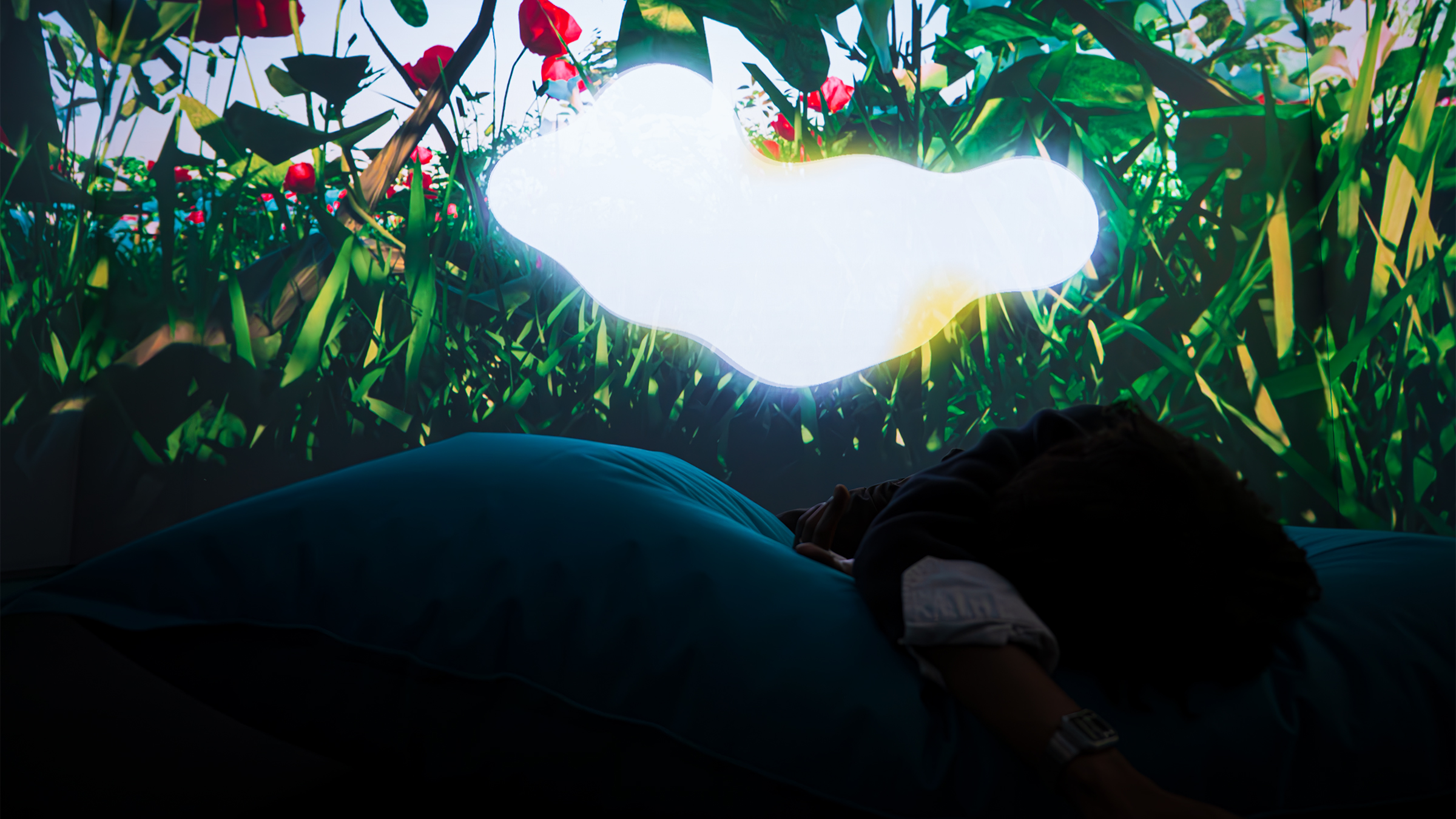 Radiate — documentation image 2